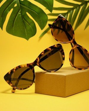 Classic Tortoiseshell Sunglasses